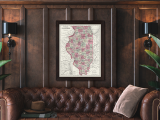 Illinois vintage map